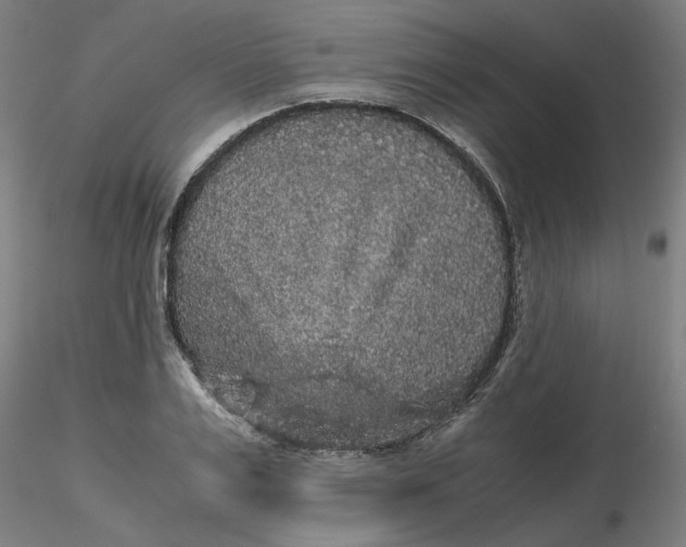 X0000116480983200912231127