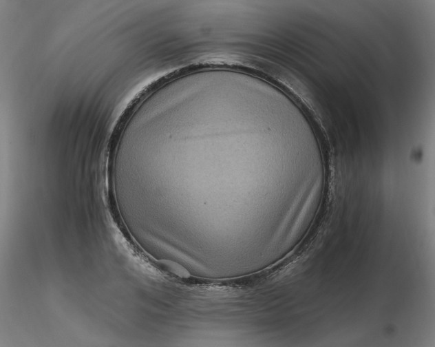 X0000116480984200912231127