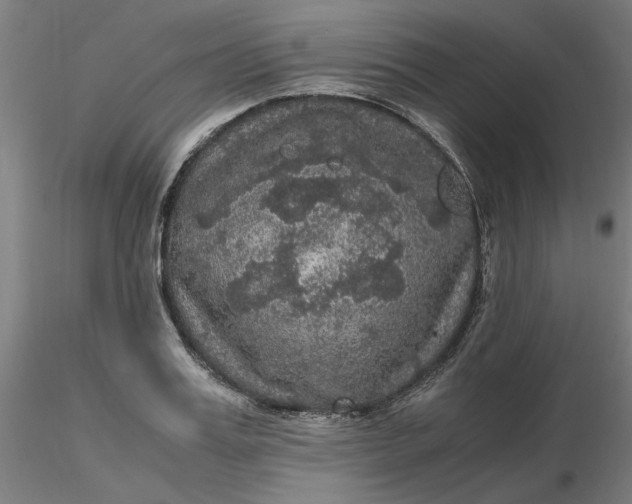 X0000116480987200912231127