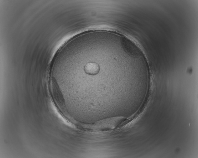 X0000116480989200912231127