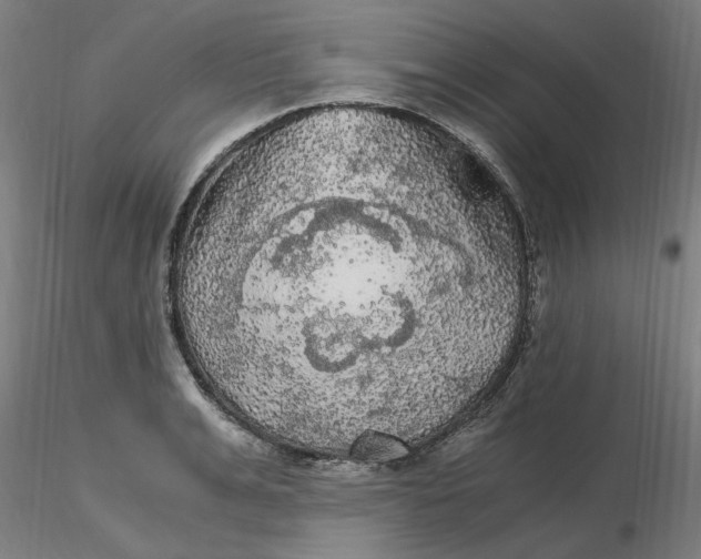 X0000116480991200912231127