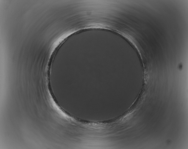 X0000116480995200912231127