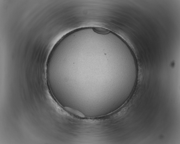 X0000116480996200912231127