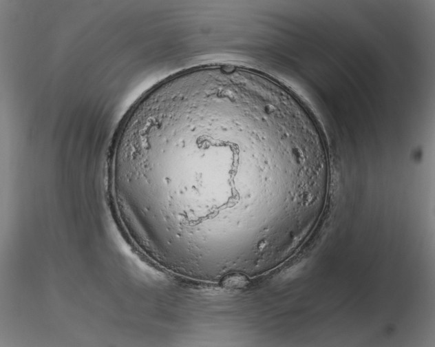 X0000116480999200912231127