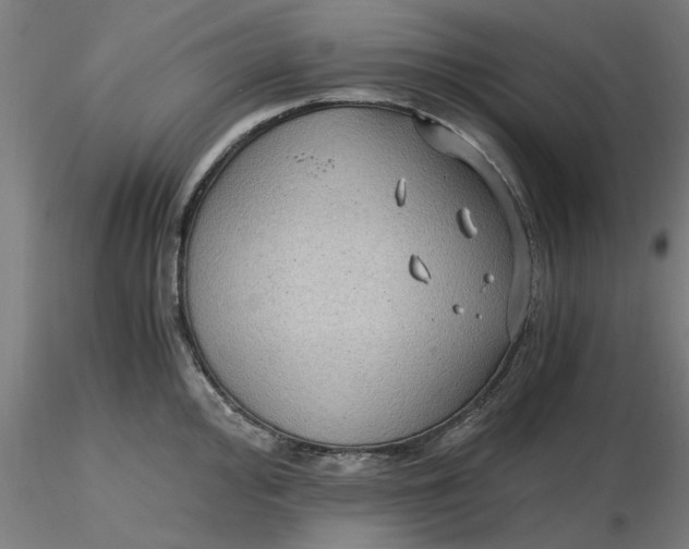 X0000116481000200912231127