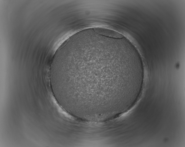 X0000116481001200912231126