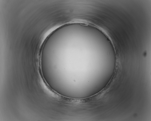 X0000116481003200912231126