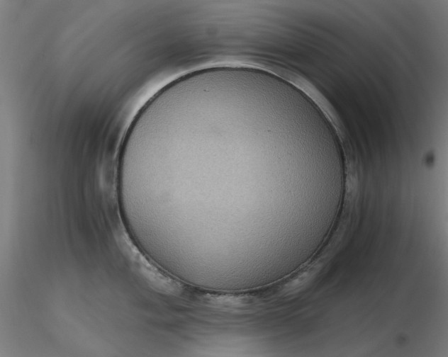 X0000116481004200912231126