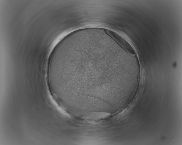 X0000116481005200912231126