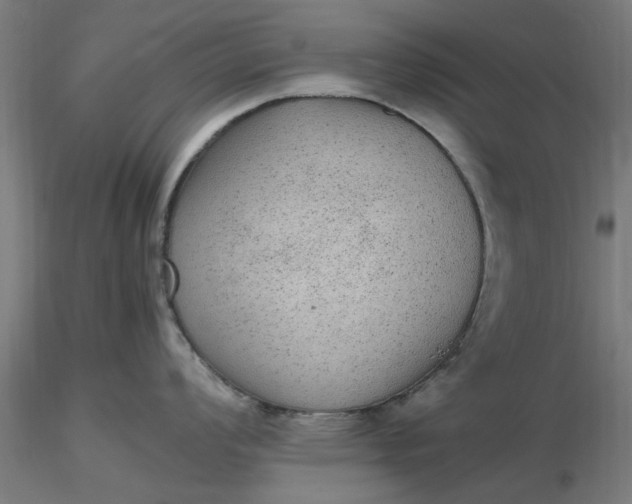 X0000116481008200912231126