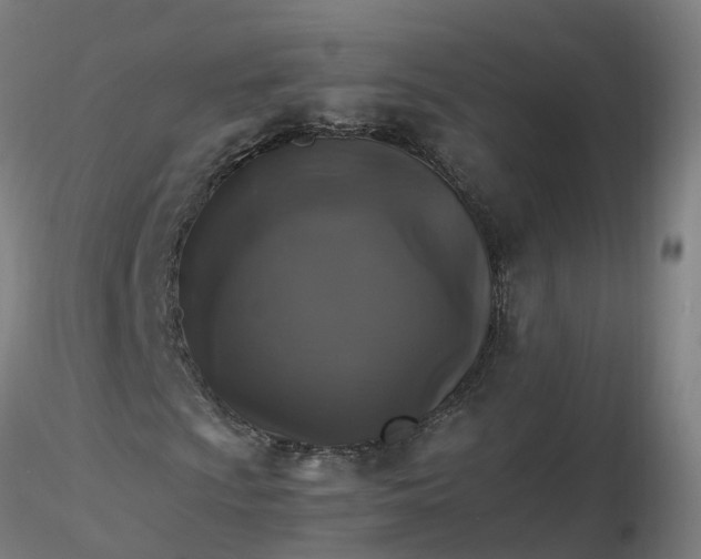 X0000116481009200912231126