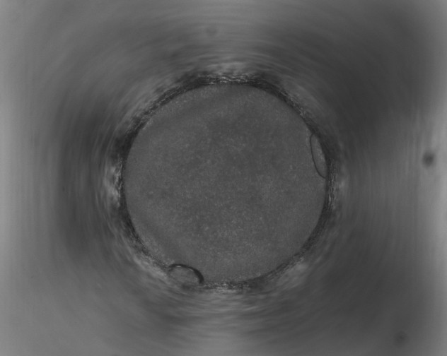 X0000116481010200912231126