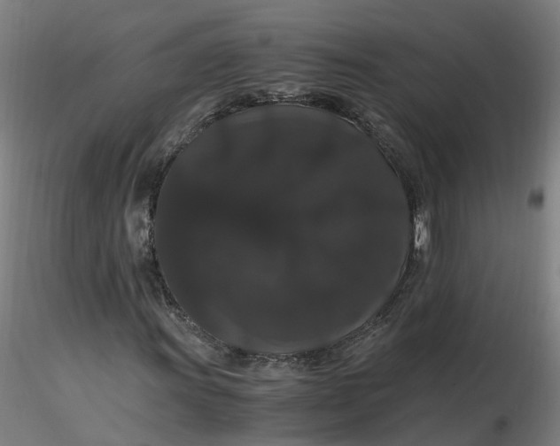 X0000116481011200912231126