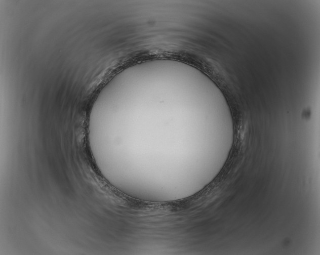 X0000116481012200912231126