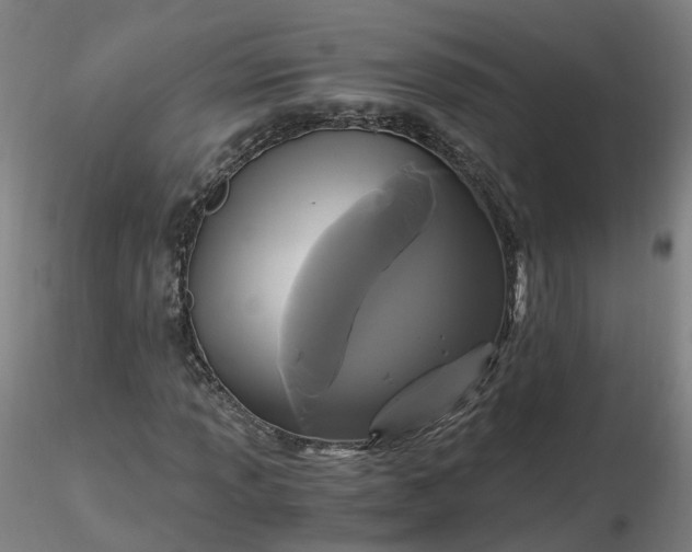 X0000116481013200912231126