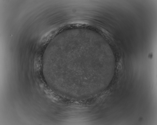 X0000116481014200912231126