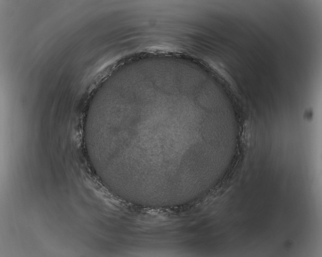 X0000116481015200912231126