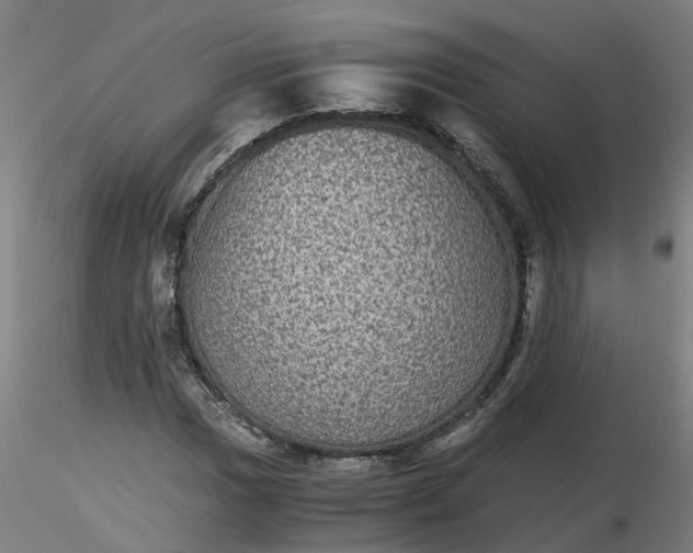 X0000116481017200912231126