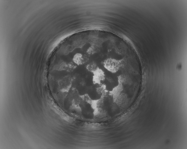 X0000116481019200912231126