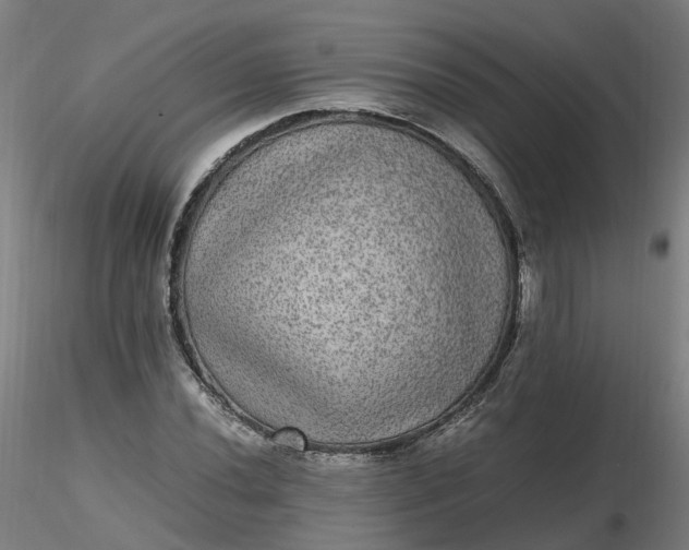 X0000116481020200912231126