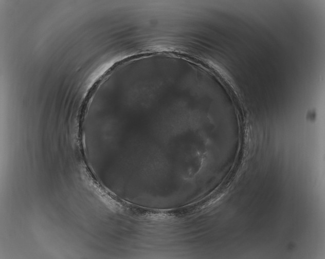 X0000116481023200912231126