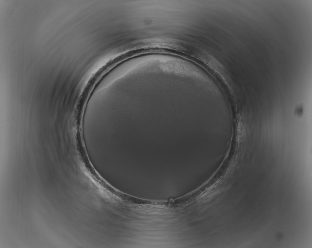 X0000116481024200912231126