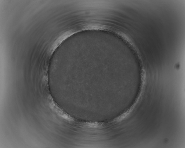 X0000116481025200912231126