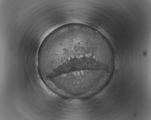 X0000116481028200912231126