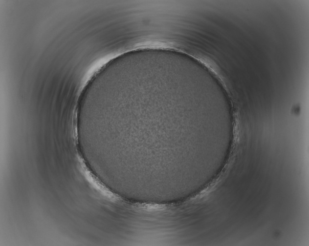 X0000116481030200912231126