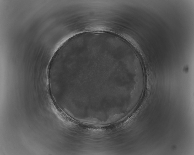 X0000116481031200912231126