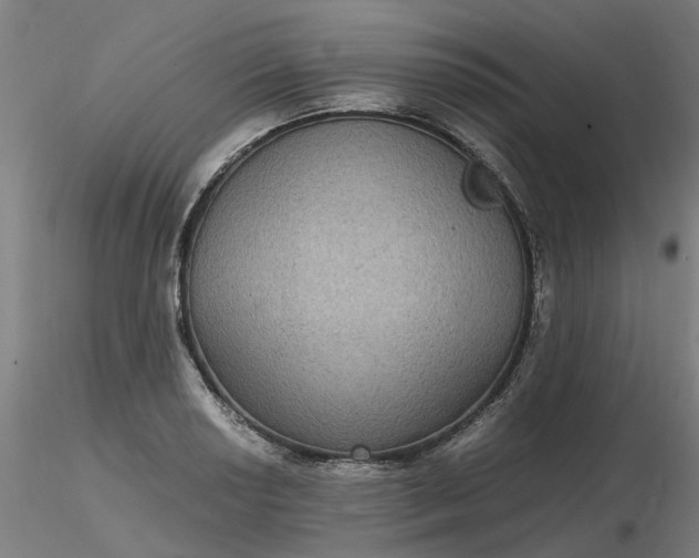 X0000116481034200912231126