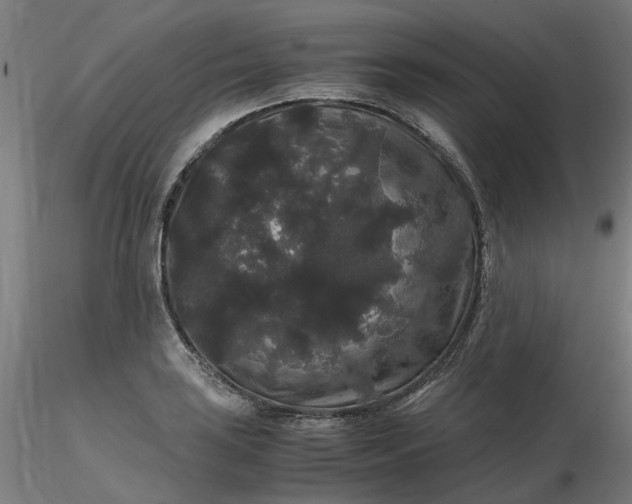 X0000116481035200912231126