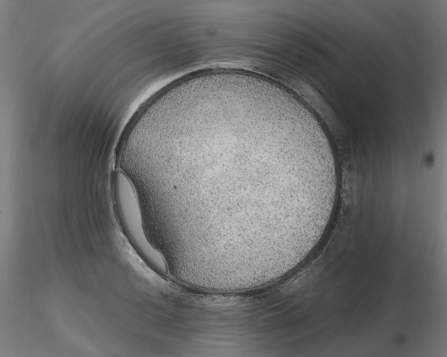 X0000116481036200912231126