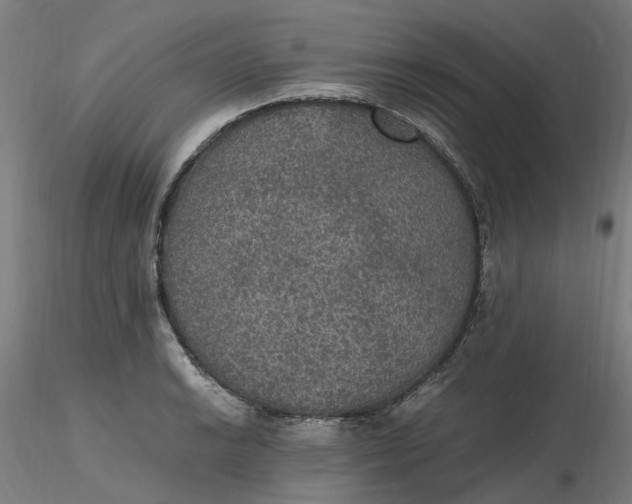 X0000116481038200912231126