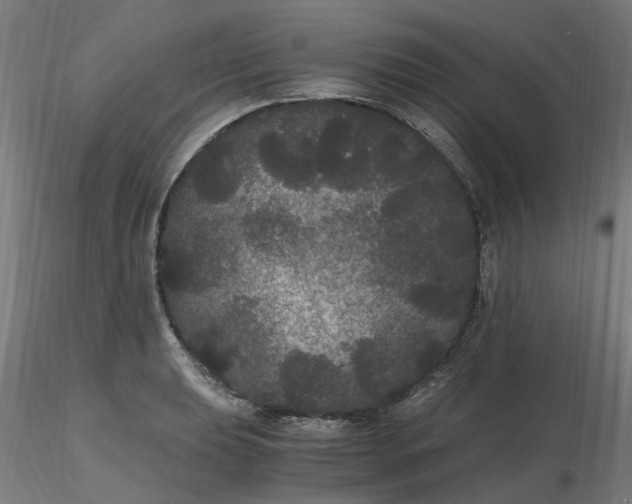 X0000116481039200912231126