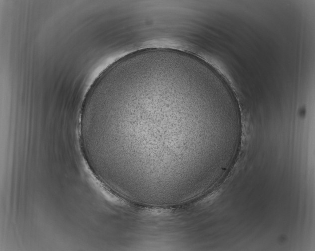 X0000116481040200912231126