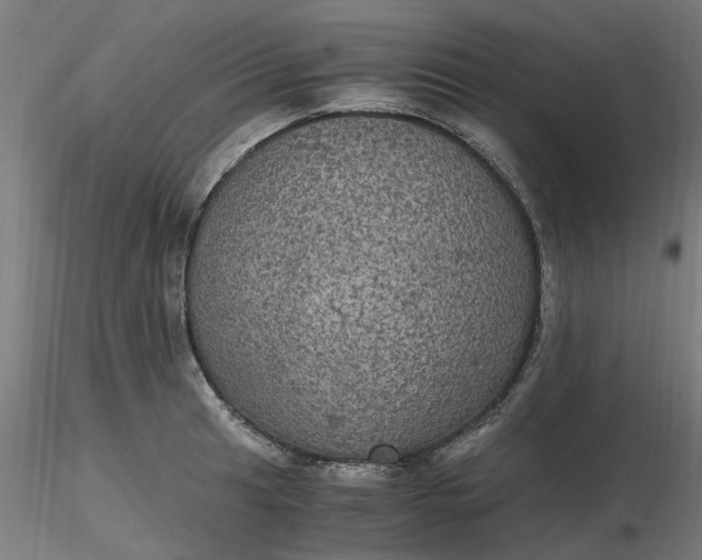 X0000116481041200912231126