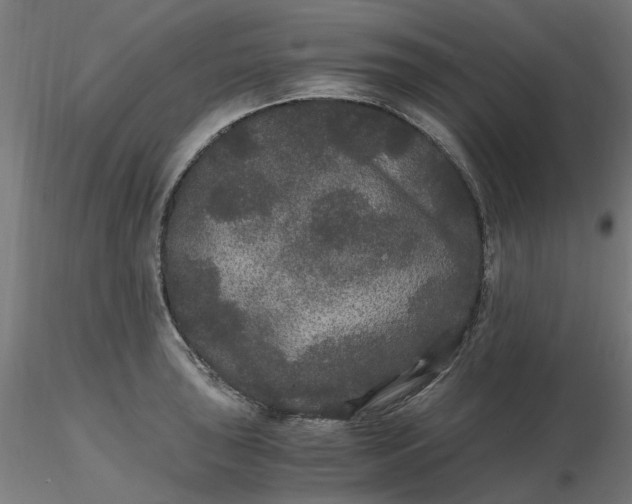 X0000116481043200912231126