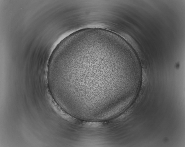 X0000116481044200912231126