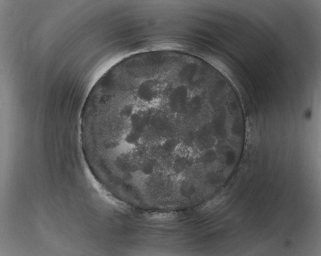 X0000116481047200912231126