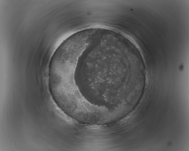 X0000116481048200912231126