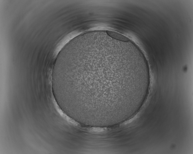 X0000116481049200912231126