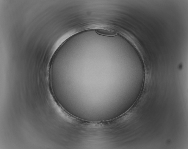 X0000116481050200912231126