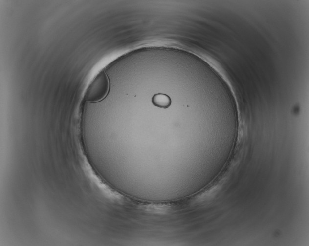 X0000116481053200912231126