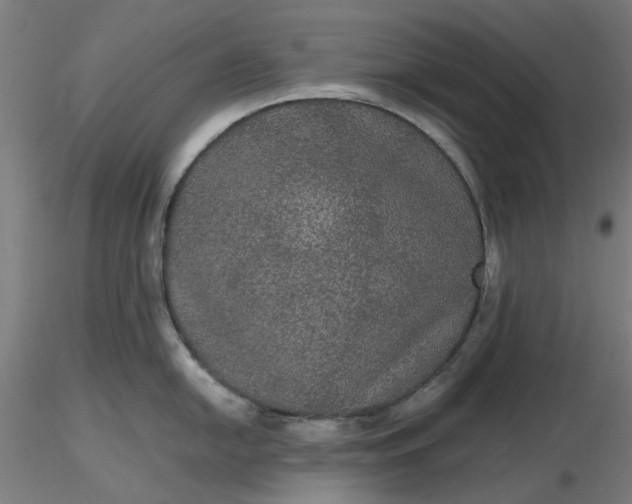 X0000116481054200912231126