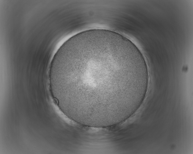 X0000116481056200912231126