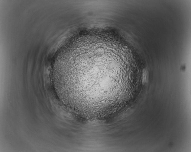 X0000116481059200912231126