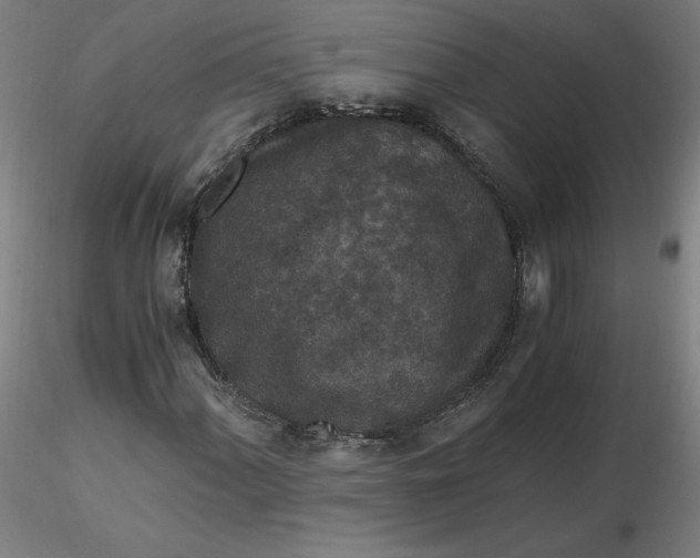 X0000116481060200912231126