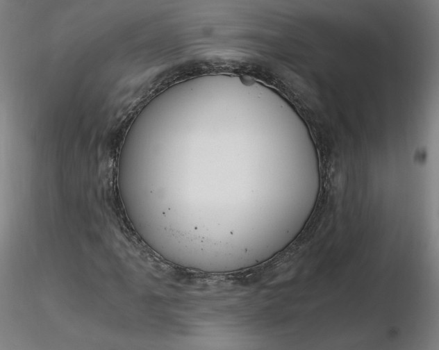 X0000116481061200912231126