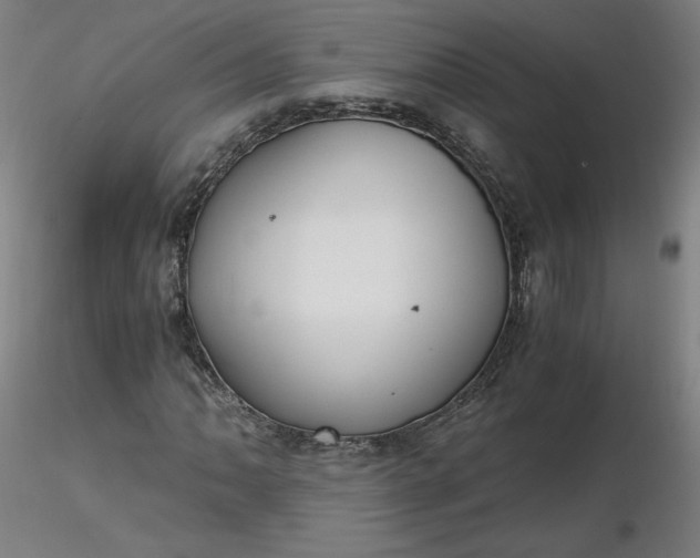 X0000116481062200912231126